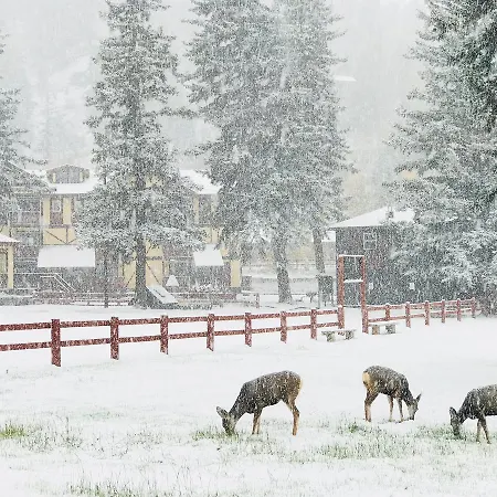 Auslander Lodge And Condominiums